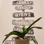 De 45 M2 En Rez-de-villa Avec Jardin *